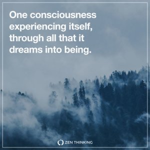 one-consciousness-experiencing-itself-through-all-that-it-dreams-into-being-zen-thinking-quote-brian-thompson-advaita-nonduality