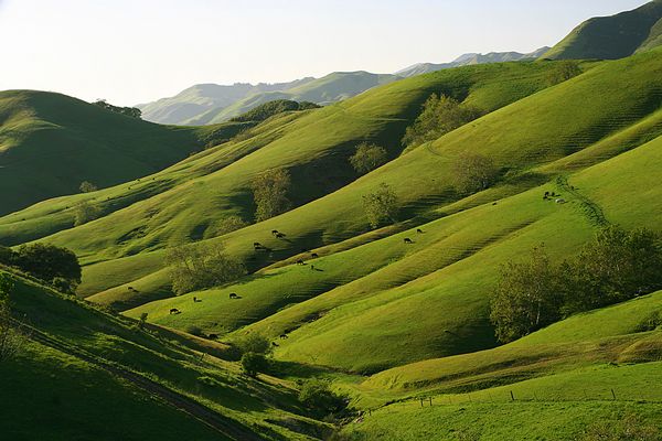 National Geographic image, looks like a view north from Route 46 toward Cambria (http://travel.nationalgeographic.com/travel/road-trips/california-pacific-coast-road-trip/)