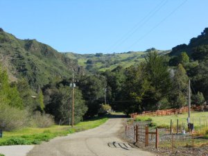 A view from the road leading to the avocado farm. I didn't dare drop in for a visit, just stalked it a little from outside the gate.