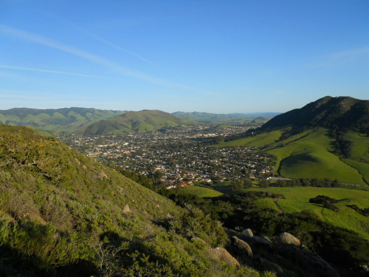 I hardly spent any time in San Luis Obispo itself, which was a shame. I did make a somewhat foolish effort to hike to the top of Bishop Peak (at 1546 feet, the tallest of the Nine Sisters) in the late afternoon, and got about yay high. After a scrumptious tri-tip salad dinner at the Firestone Grill (sister establishment of Cambria's Main Street Grill), I headed south to Santa Maria to spend the night in the car and wake up before dawn to re-create the drive on Sept 11.