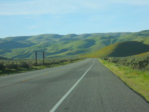 Heading back west and looking south toward the foothills, one of the views we had on the way to "Azucar Mountain"