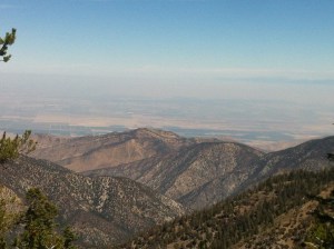 A found image from Mount Pinos, showing the extreme southern end of the Central Valley and the Sierra Nevadas in the background