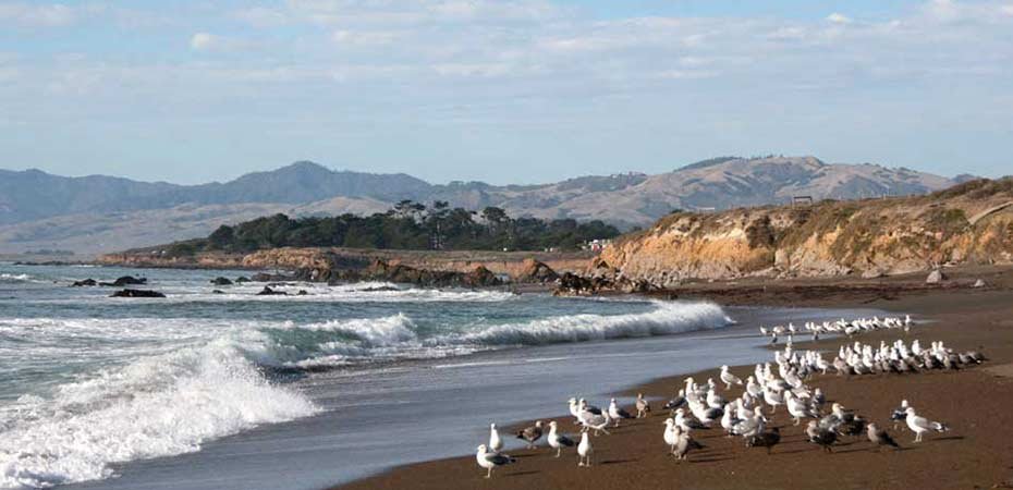 Moonstone Beach, Cambria